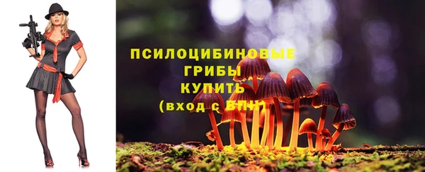 стафф Армянск